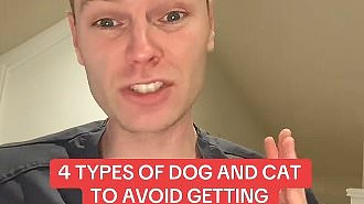 taylor-alert-–-i’m-a-vet-and-here-are-4-types-of-dogs-and-cats-everyone-should-avoid-getting