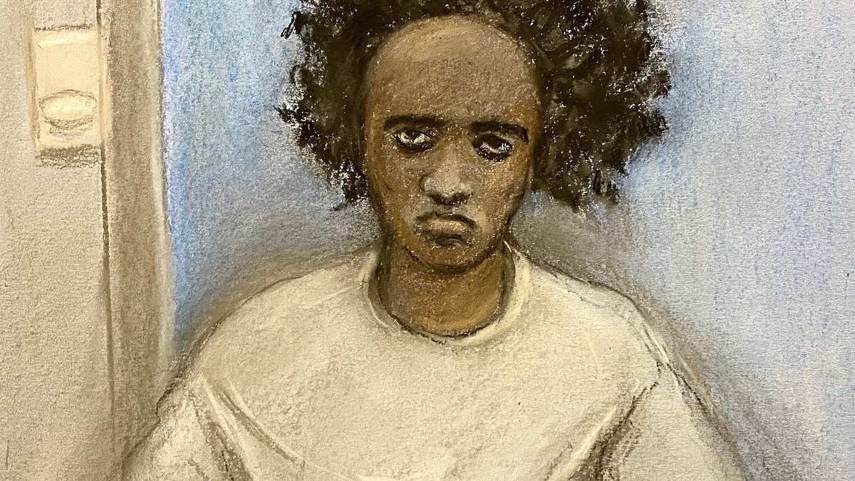 taylor-alert-–-mother-of-girl,-seven,-who-was-stabbed-33-times-by-axel-rudakubana-as-she-heroically-shielded-other-children-from-him-during-southport-attack-weeps-as-she-tells-inquiry-her-daughter-is-‘still-trying-to-survive’-nearly-a-year-later